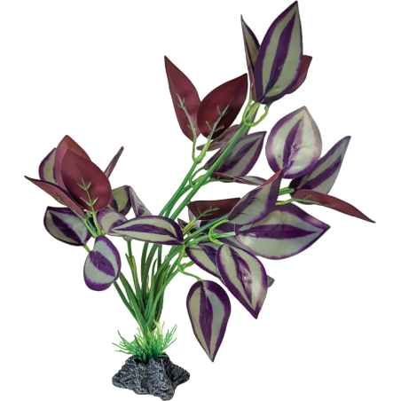 Plante terrarium feuilles violette debout 19x15x23cm
