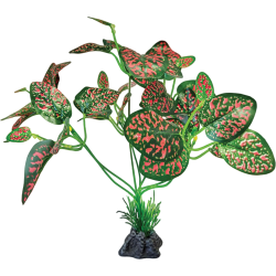 Plante terrarium debout rouge/verte 32x21x29cm