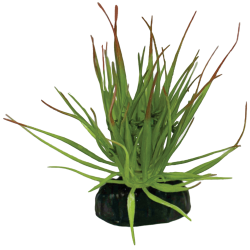 Vente tillandsia ionantha déco terrarium artificielle