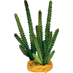 Repto Plante Cactus needle verte 12x10x16cm