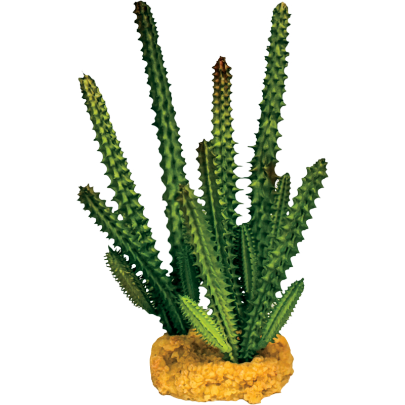 Repto Plante Cactus needle verte 12x10x16cm