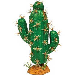 Plante terrarium Cactus trident XL 14x7x21cm