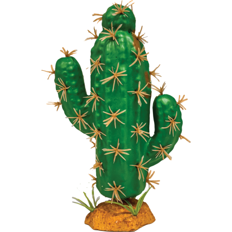 Plante terrarium Cactus trident XL 14x7x21cm