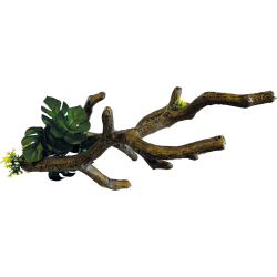 Repto deco branche S  35x19x18cm