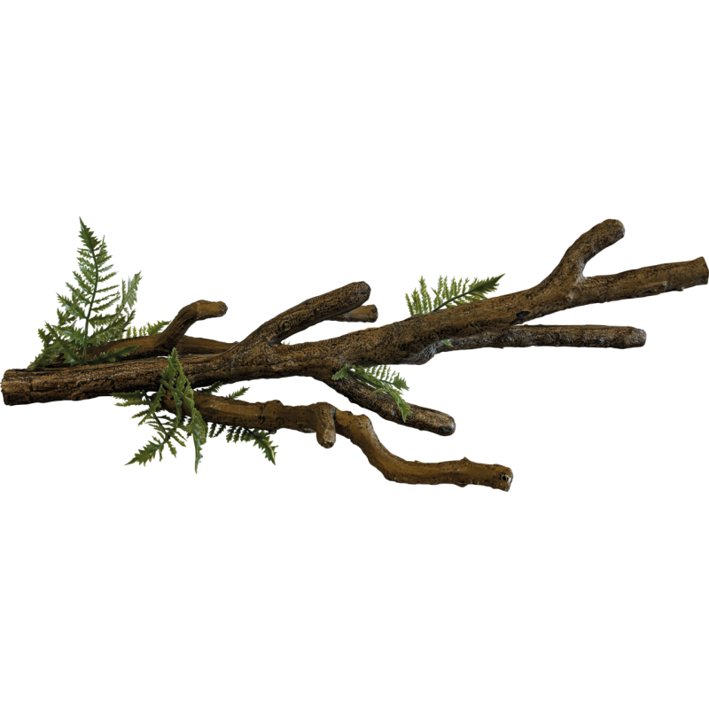 Branche XL  terrarium 57x27x16cm