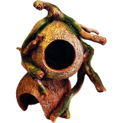 Décoration terrarium coconut hides  21x17x19cm