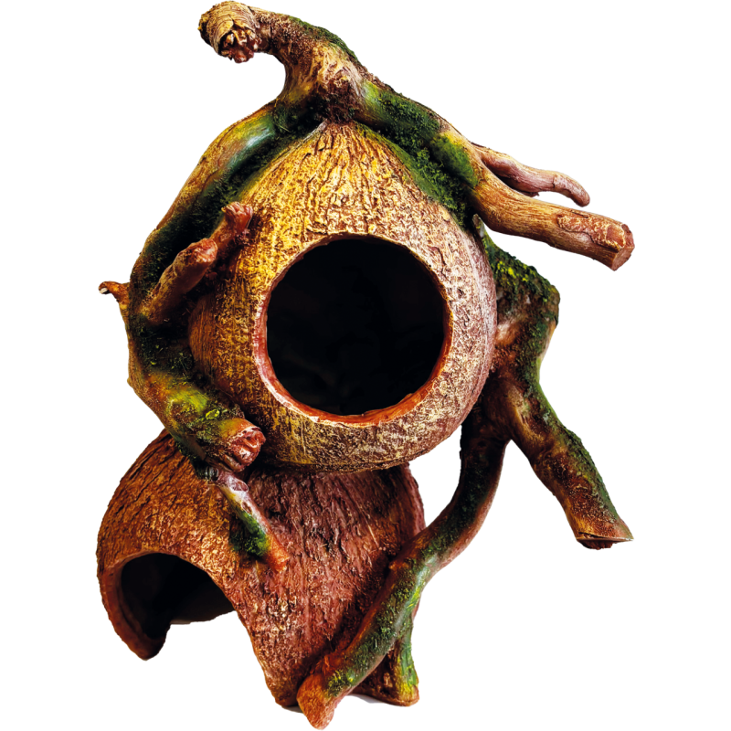 Décoration terrarium coconut hides  21x17x19cm