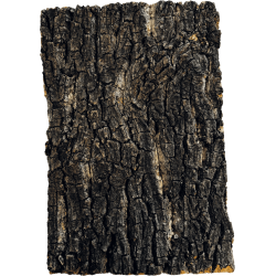 Plaque liège terrarium 30x20 cm décor naturel pas cher