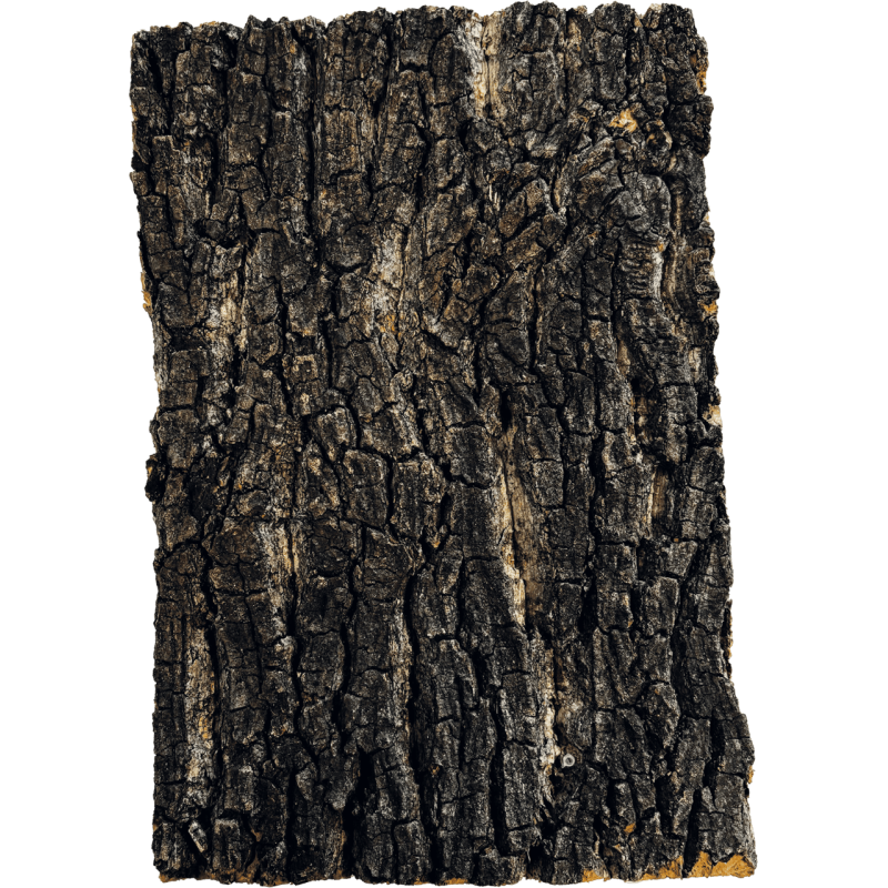 Plaque liège terrarium 30x20 cm décor naturel pas cher