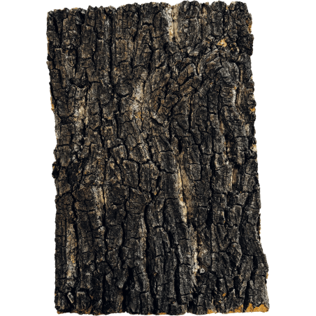 Plaque liège terrarium 30x20 cm décor naturel pas cher