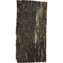 Plaque décor liège terrarium 60x30 cm fond naturel