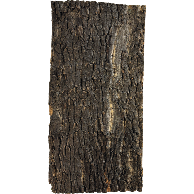 Plaque décor liège terrarium 60x30 cm fond naturel