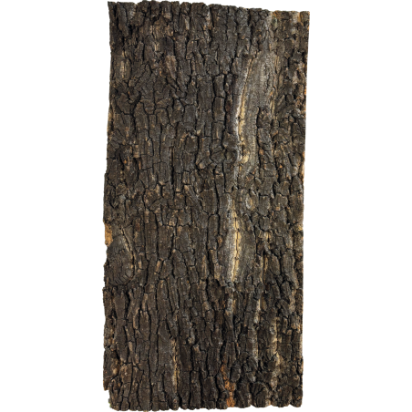 Plaque décor liège terrarium 60x30 cm fond naturel