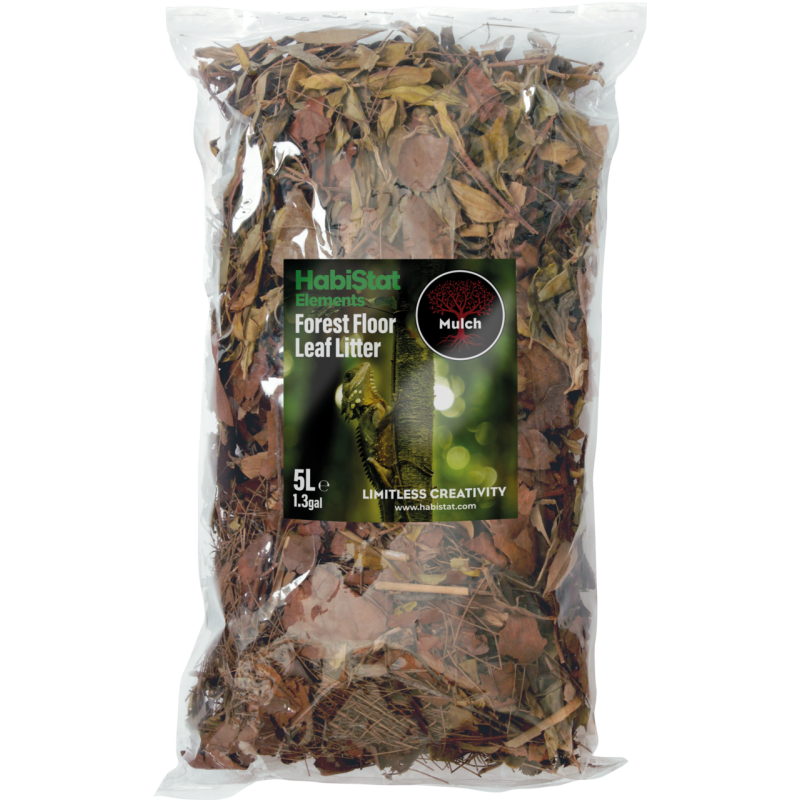 Feuilles de forêt terrarium 5 L sol naturel bioactif