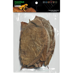 Mélange de Feuilles x30 pour terrarium tropical vente en ligne