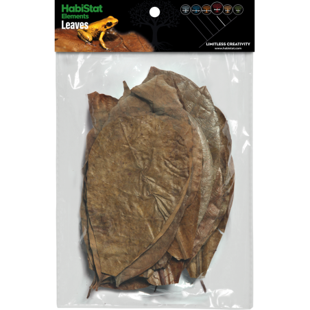 Mélange de Feuilles x30 pour terrarium tropical vente en ligne