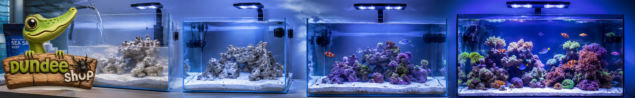 Aquarium récifal en cours de cyclage avec décor de pierres et sable d'aragonite
