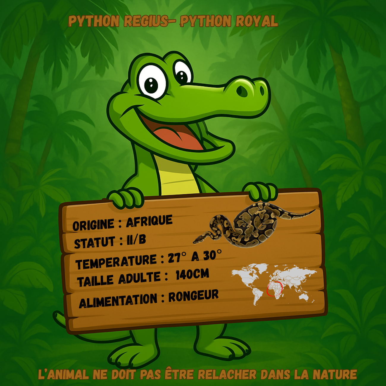 Vente Python regius royal Highway Pastel